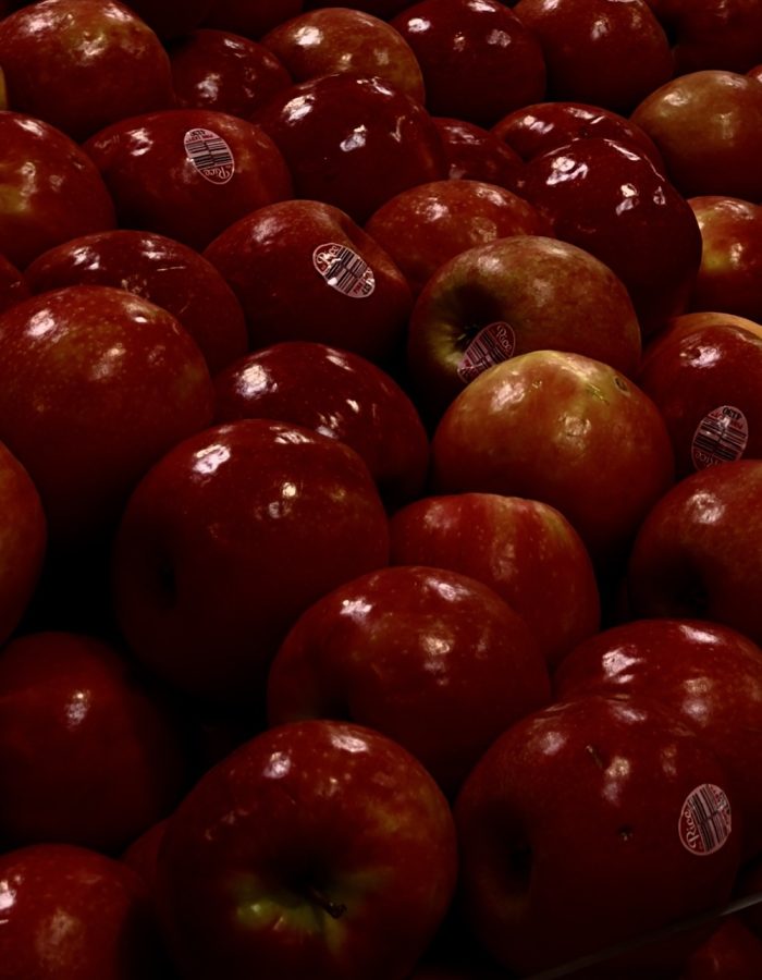 XOXOKAYMO RED APPLES